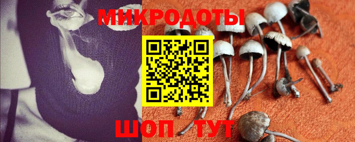 Псилоцибиновые грибы GOLDEN TEACHER  Вход с VPN  Коммунар 