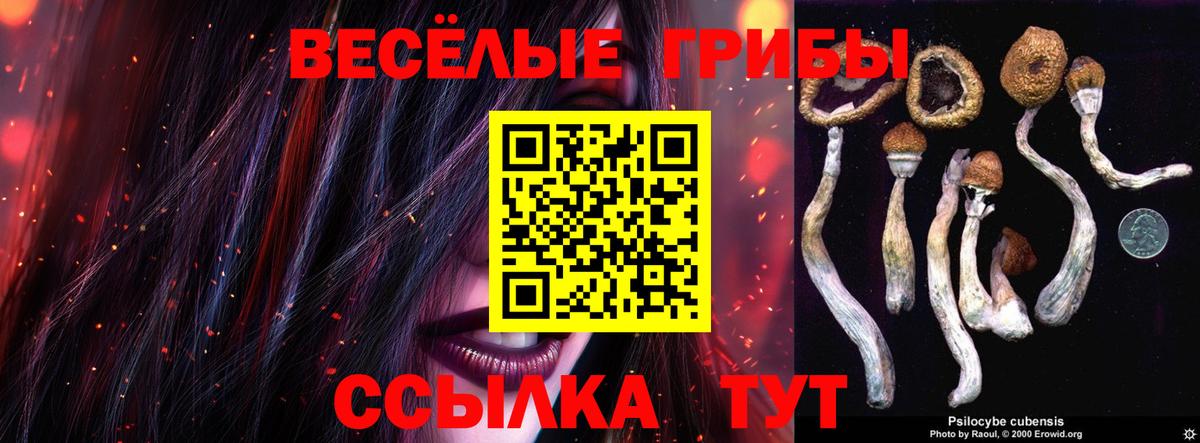 Галлюциногенные грибы Psilocybe Коммунар